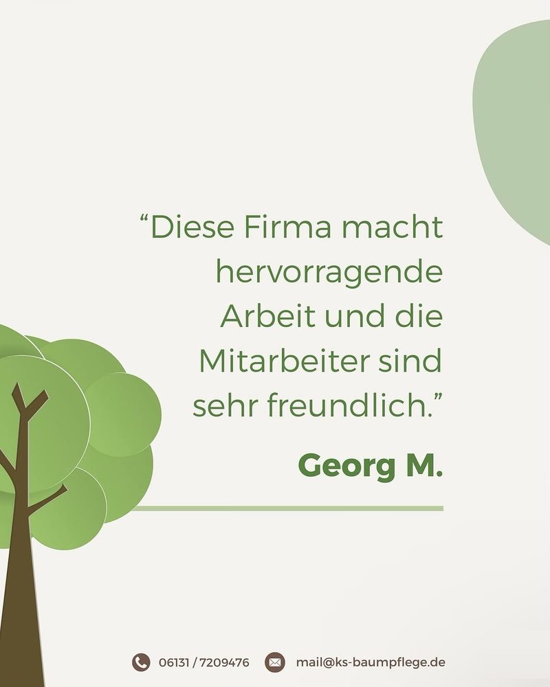Beitrag von KS Baumpflege: Kundenbewertung